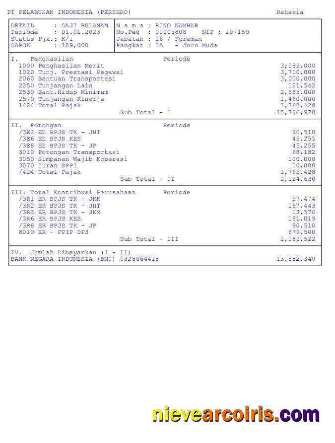 Pt pelabuhan indonesia (persero) pay stub